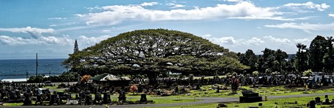 Photo by Shiann Yang