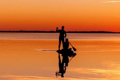 Photo by DezellDesigns