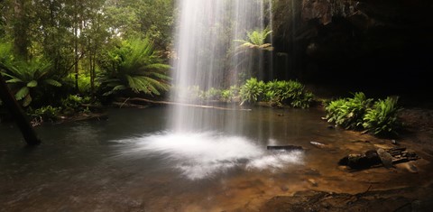 Photo by Jill Hancock