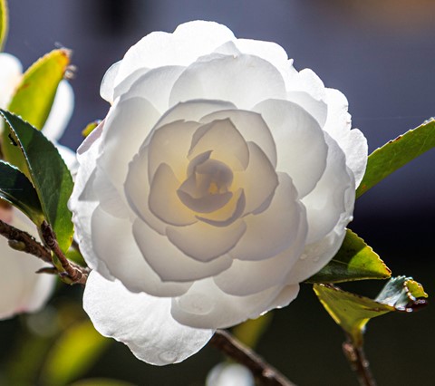 Photo by Eyefull Tour