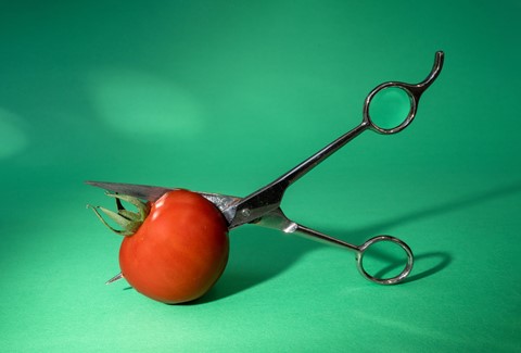 Photo by User0812835894