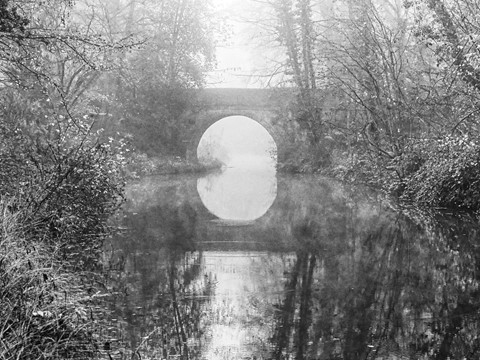 Photo by hampshirejohn