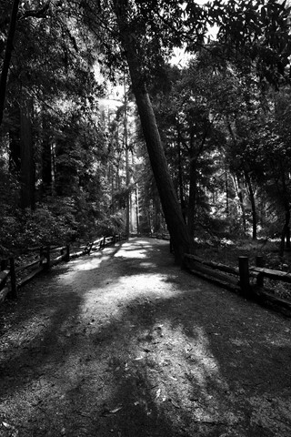 Photo by jacqueparees