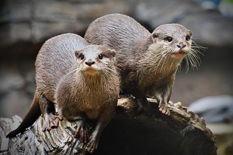 Photo by Mark B Willey