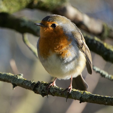 Photo by User1303423862