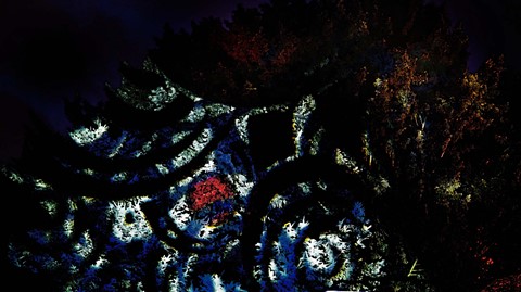 Photo by fotopackback