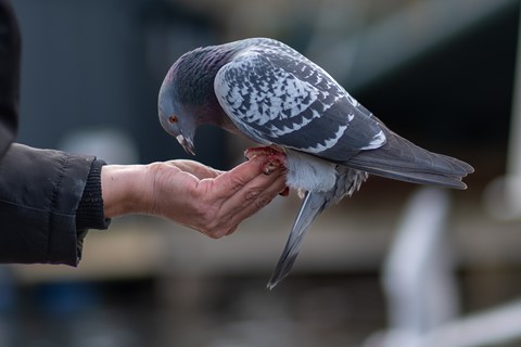 Photo by Vishnu photoplorer