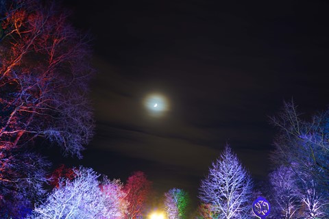 Photo by silent night