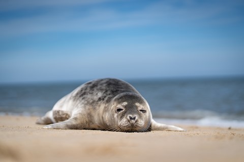 Photo by Vishnu photoplorer