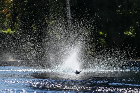 Photo by Vishnu photoplorer