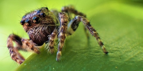 Photo by Deadfisheye