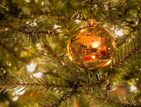 Photo by Lily Harris