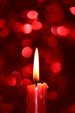 Photo by Daniel_Gonzales