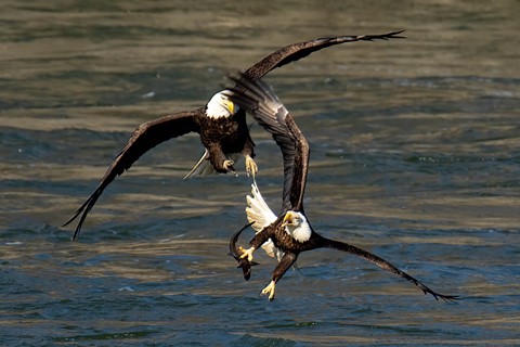 Photo by JerseySailor