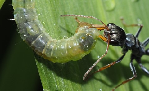 Photo by Deadfisheye