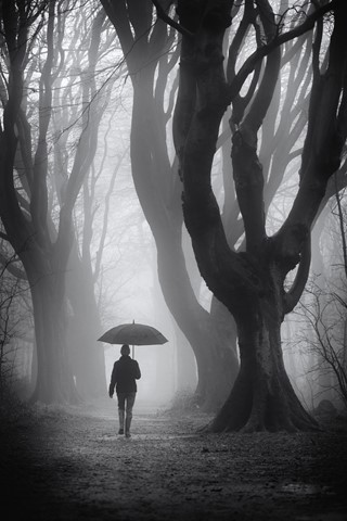 Photo by Swervin Mervin