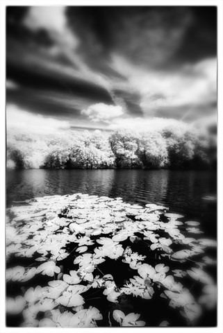 Photo by jonestheroad