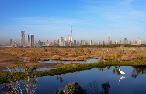 Photo by Nilesh Trivedi