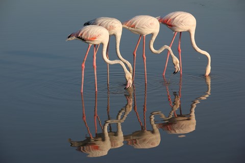 Photo by Three's Company