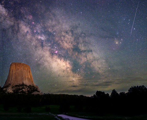 Photo by birdofthegalaxy