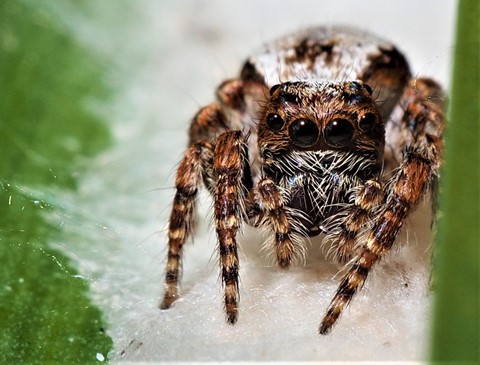 Photo by Deadfisheye