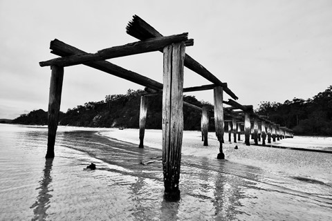 Photo by Mark B Willey