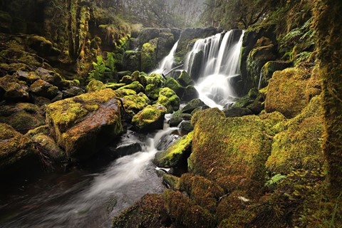 Photo by Jill Hancock