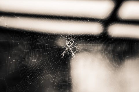 Photo by themountainphotographer