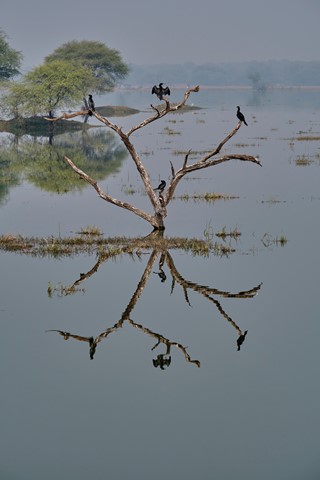 Photo by Amitava Ghoshal