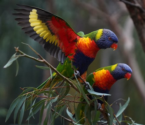 Photo by Deadfisheye