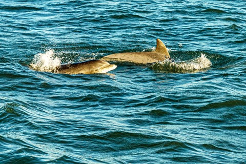 Photo by MichaelP_8157