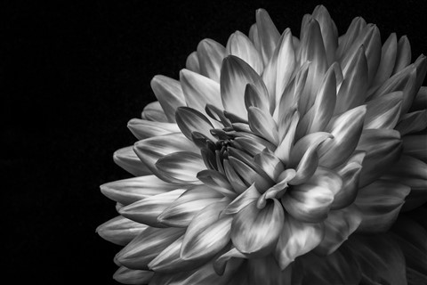 Photo by mreservices