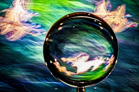 Photo by MichaelP_8157