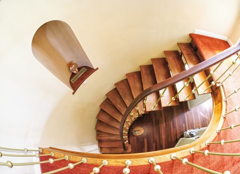 Photo by Trevor Carpenter