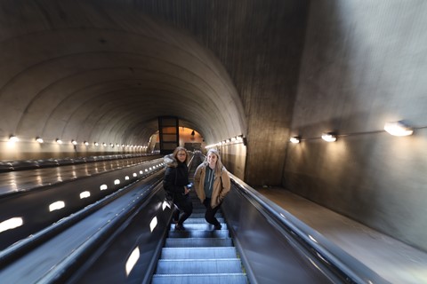 Photo by marksheldon