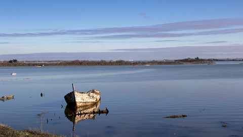 Photo by Barry Beavis