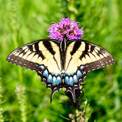 Photo by mreservices