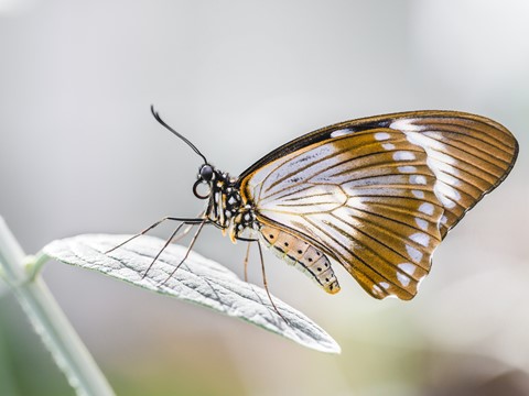 Photo by chromophore