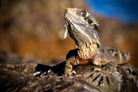 Photo by Mark B Willey