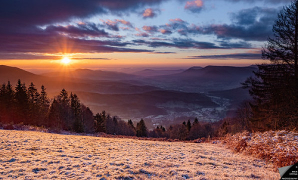 Photo by Maik Stetina