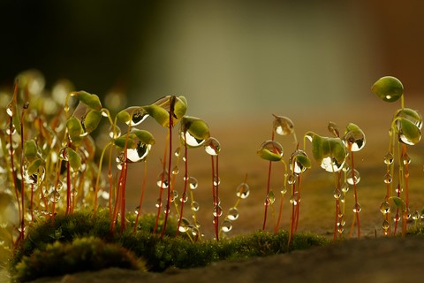 Photo by BlancheBarbe