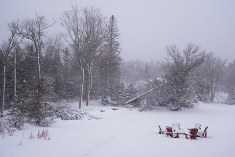 Photo by Maurice Byatt