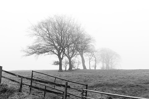 Photo by Vishnu photoplorer