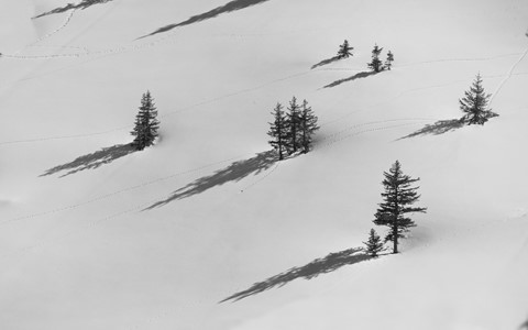 Photo by fireplace33