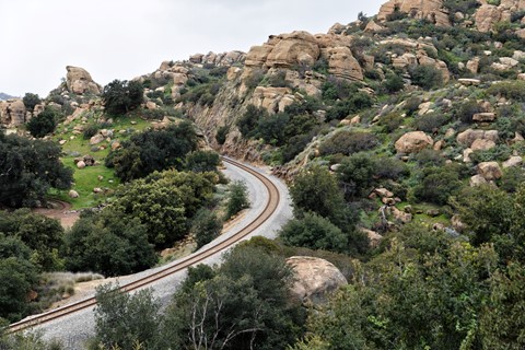 Photo by Great Bustard
