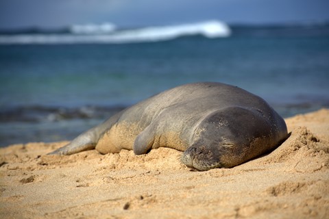 Photo by Gil Aegerter