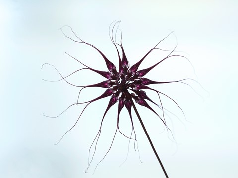 Photo by chromophore