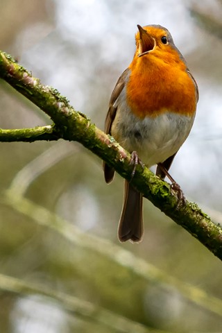 Photo by PhilRogersPhoto