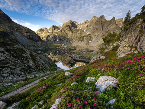 Photo by Tristan VANDENBERGHE