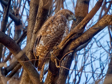 Photo by In Central DC